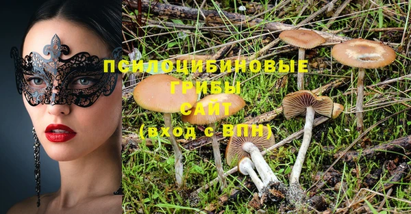 MDMA Нязепетровск