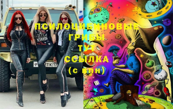 гашиш Няндома