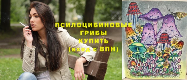 гашиш Няндома