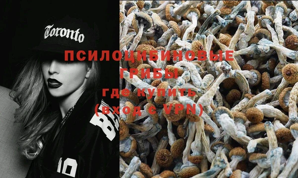 MDMA Нязепетровск