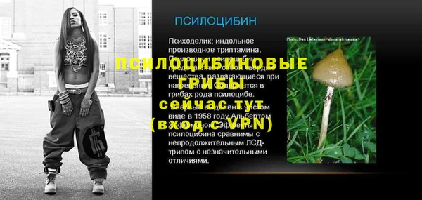 гашиш Няндома